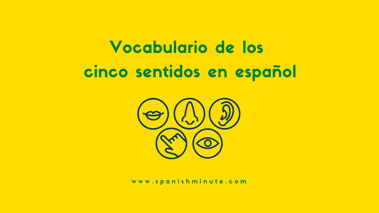 Вы сейчас просматриваете Vocabulario de los cinco sentidos en español